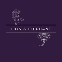 Lion&Elephant