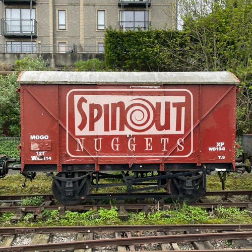 Spinout Nuggets’s avatar