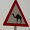 وعد