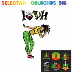 Selectah Colochos 506
