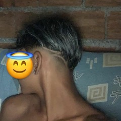 reizinhox7