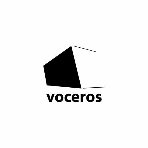 voceros’s avatar