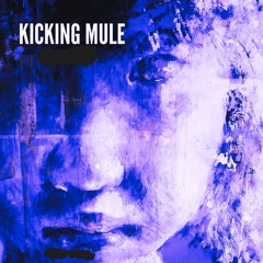 Kicking Mule