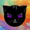 Chat Bavard