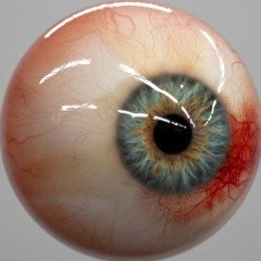 ꧁꧂꧁꧂𝓑𝓛4𝓣𝓣𝓛𝓞𝓡𝓓𝓔𝓩4𝓨𝓨 ᡕᠵデᡁ᠊╾━ ᶻ 𝗓 𐰁