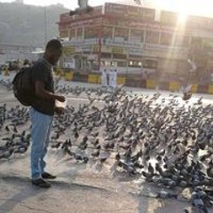 ناصر ابراهيم محمد حسن حسن