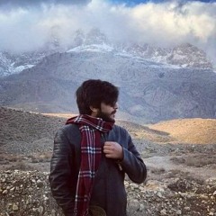 Moe Turk - Reflections