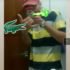 Luan sp