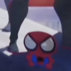 spider plush