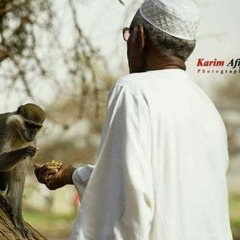Mustapha