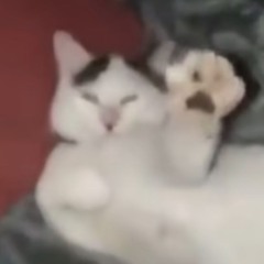 Karxsu
