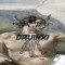 DAVINXI
