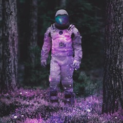 dreamer