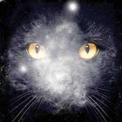 Dj Dav1d,  Matteo Hacker