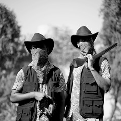 Brown Bandits