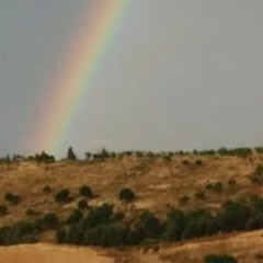 Hanife Sırtıkara Genç