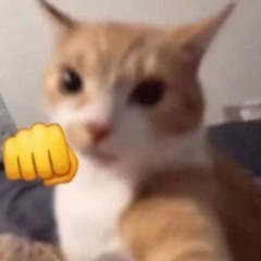Tygo