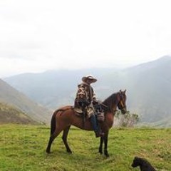 Daniel Mauricio Roa Giraldo