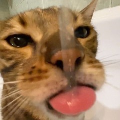 Zei