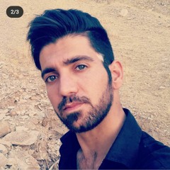 hamidalizadeh71