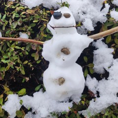 đubox 2024 trap rap hip hop