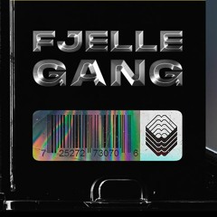 FJELLE GANG