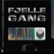FJELLE GANG