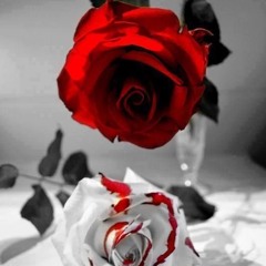 💀☠️D.E.A.D☠️💀