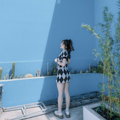 Ngô Thùy Linh