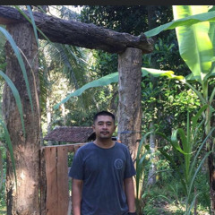 ape deim
