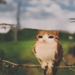 khn_tr