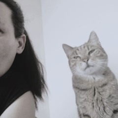 Blinkova Jindra