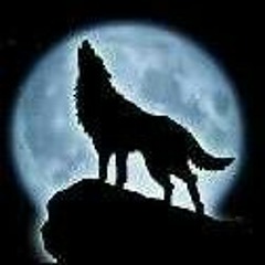 lonewolfdaddy