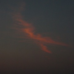 Popular Christmas Songs ❄️🎄