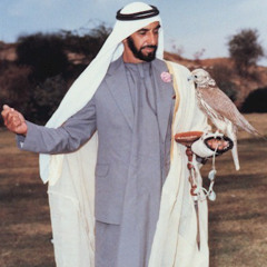 sbinsalman