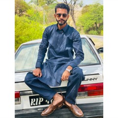 Mehtab Naqvi
