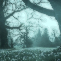 •⚡️LEAH🎸•