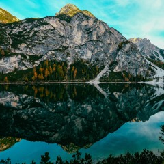 Amir hosein Deylami nejhad