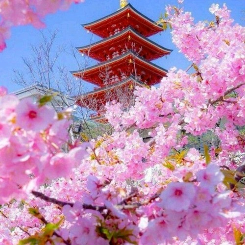 Stream ⲇⲓⲙⲓ 美辛 Listen To 不思議優遇playlist Online For Free On Soundcloud