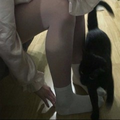 MeoBeo
