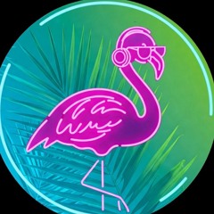 DJ flaminco