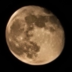 🩻ᖱ€ඞ†ℏ∫<-->ᖱ✺✺☈🩻