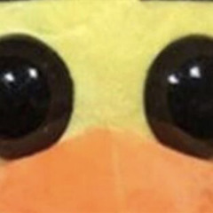 Xzsfur