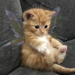 crowley