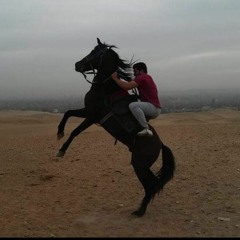 محمد إبراهيم