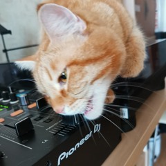 Action