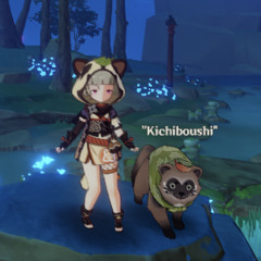 Sayu The Sonic Mujina