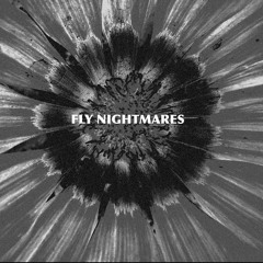 Fly Nightmares