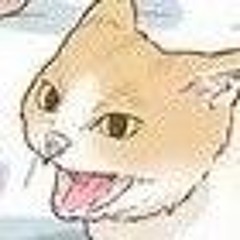 Do Not The Cat