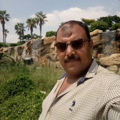 Mohamed Hossam